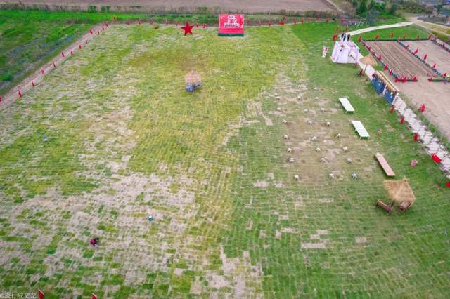 休闲地|淮北双楼花海你知道吗，和高岳现代示范区在一起，好大一片好漂亮