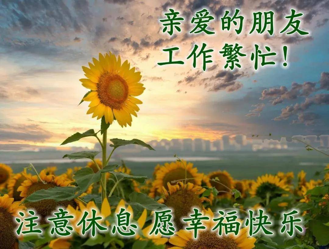 原创8张创意好看的冬日风景清晨早上好祝福图片免打字聊天的早安问候