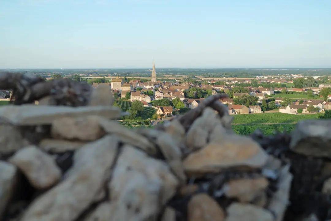 巴洛米洛|勃艮第精品家族酒庄，安慕父子&amp;泊索父子，巴洛米洛&amp;文森特吉拉丹！