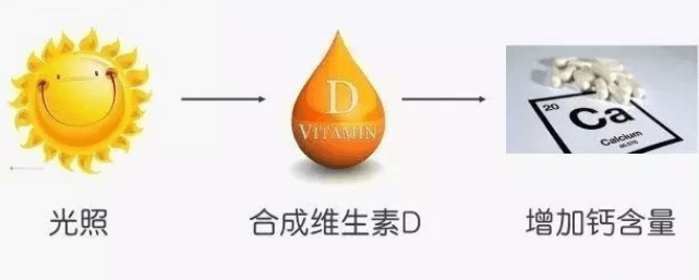 冬天重點補維生素d