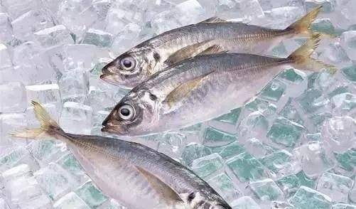 这些食物可能并不适合放在冰箱里，早知早受益_面包_冷藏_淀粉类- 太阳 