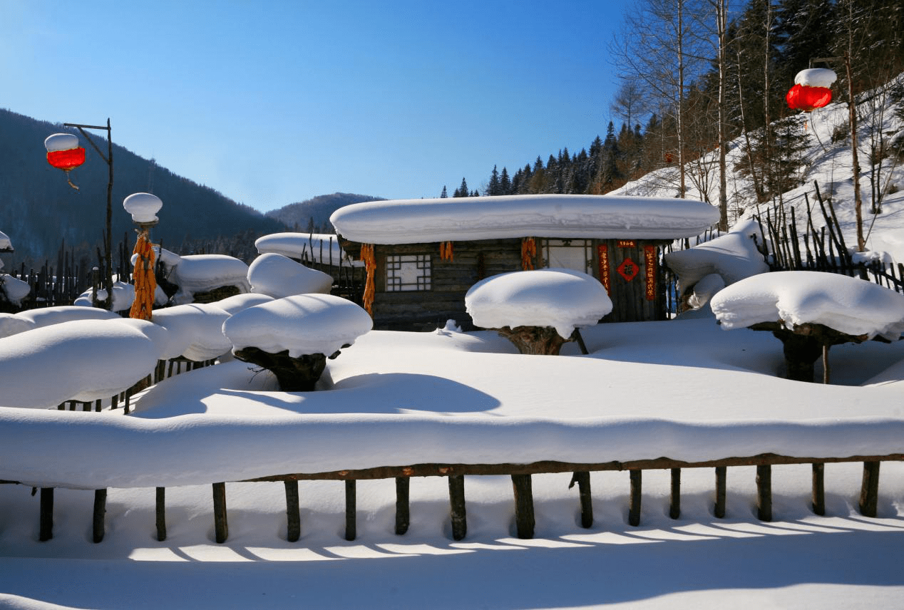 大庆|黑龙江发布冰雪旅游产业发展指数，多款冬季旅游产品亮相广州