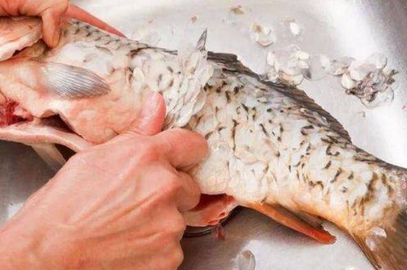 鱼肉去腥,挑鱼腥线没用,这4个部位是腥味"源头",一定要去除