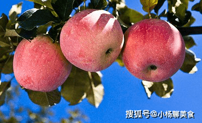 补充苹果不仅可以美容养颜，最主要还有这些功效，一直偷偷再用