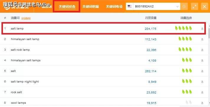 分析亚马逊新手选品避坑--盐灯产品