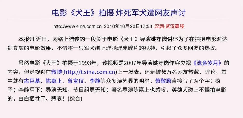 事件|虐猫、杀马、炸死功勋犬，为了所谓的艺术，他们都干了些什么？