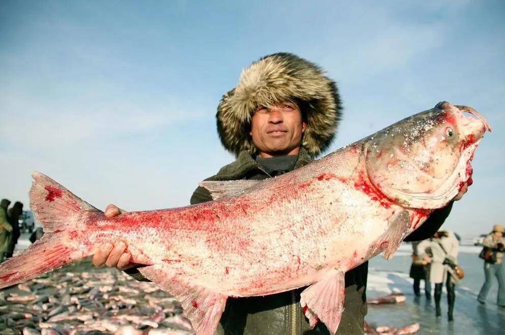 主场地|冰湖腾鱼，定了！