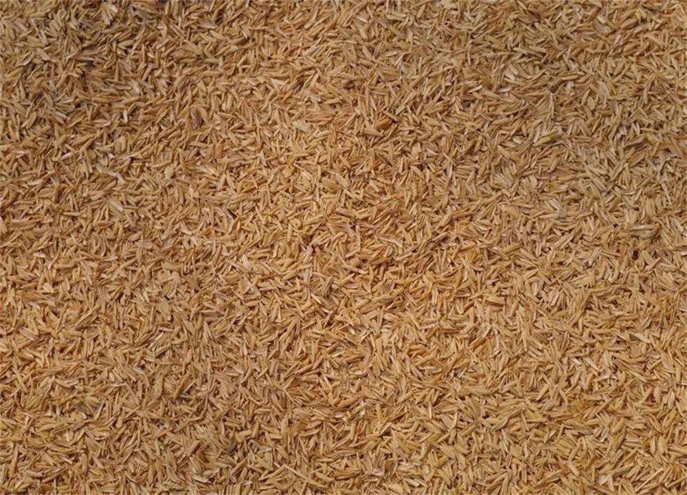 真全粮酿酒过程中加入稻壳使白酒更醇香吗?