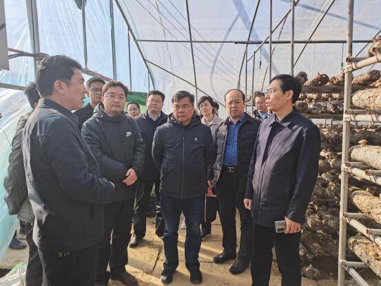 郏县县委常委,常务副县长