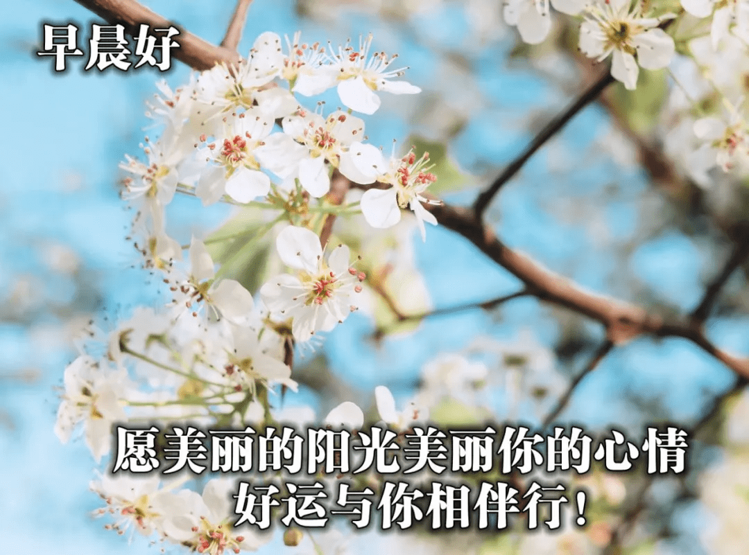 55402067ff964de581ec99f3e8dd8aab.png