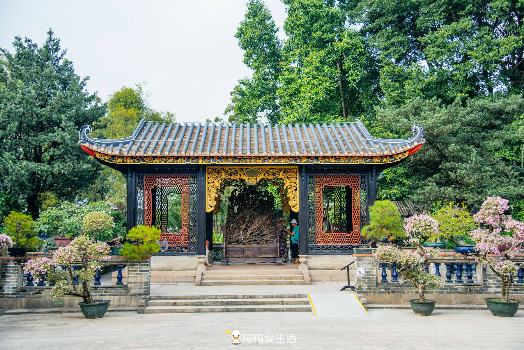 私塾|岭南四大园林之首在佛山，叔侄四人用50多年建成，仿佛来到了苏州