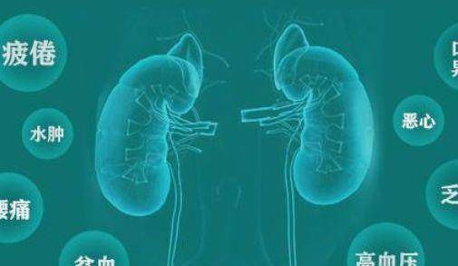 肾脏|“尿毒症”早期，身体可能会发生3个改变，希望你都没有