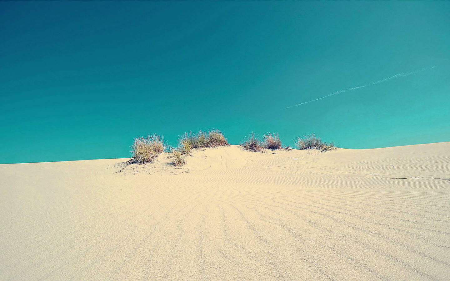 安全感,是尘埃落定的安稳,是不离不弃的笃信.