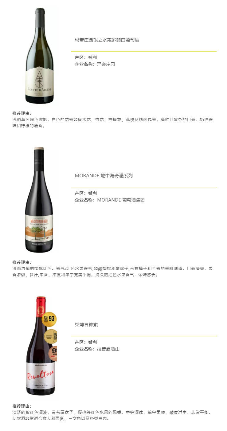 卢大炜|「见新·见智」92+智利高分酒,带你一览智利佳酿!(下)