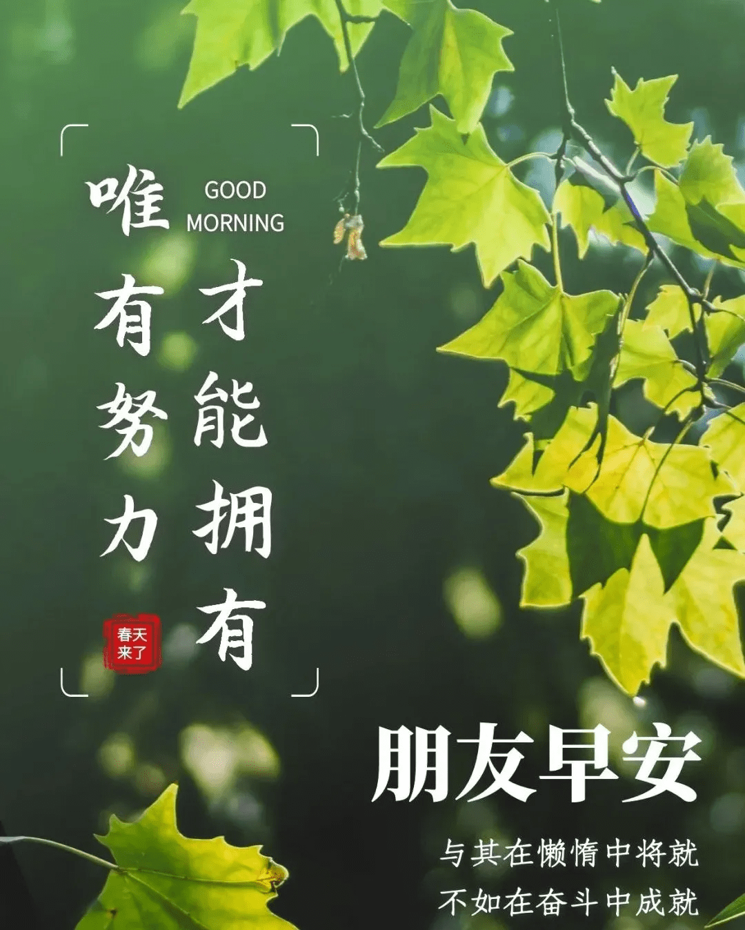 原创清晨祝福语录大全早安祝福图片精选早上好