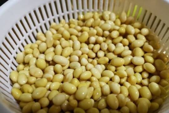 温度|医生不会告诉你，这是天然钙片，对孩子长高有奇效，不懂可惜了