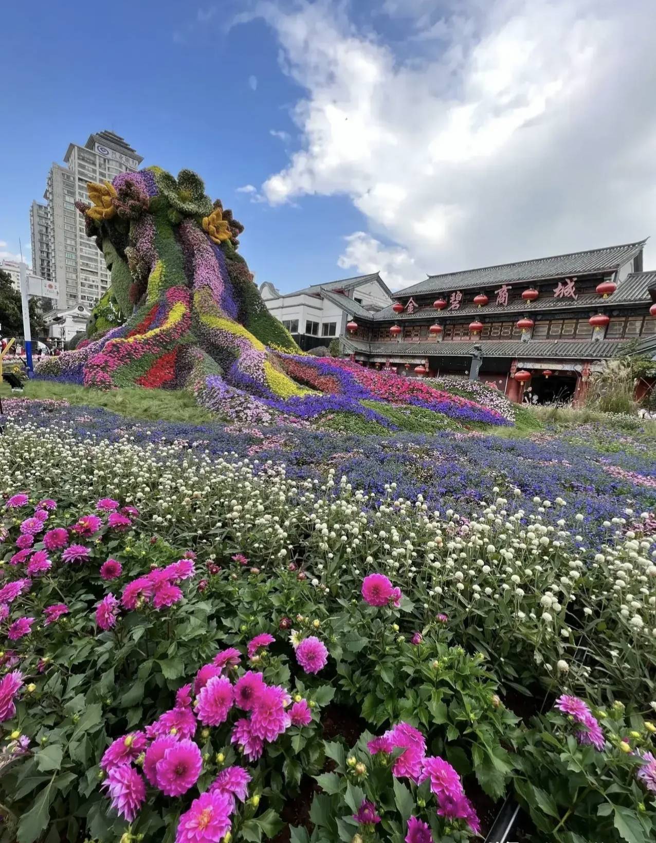 千萬不要一個人來雲南_花仙子_昆明_一世