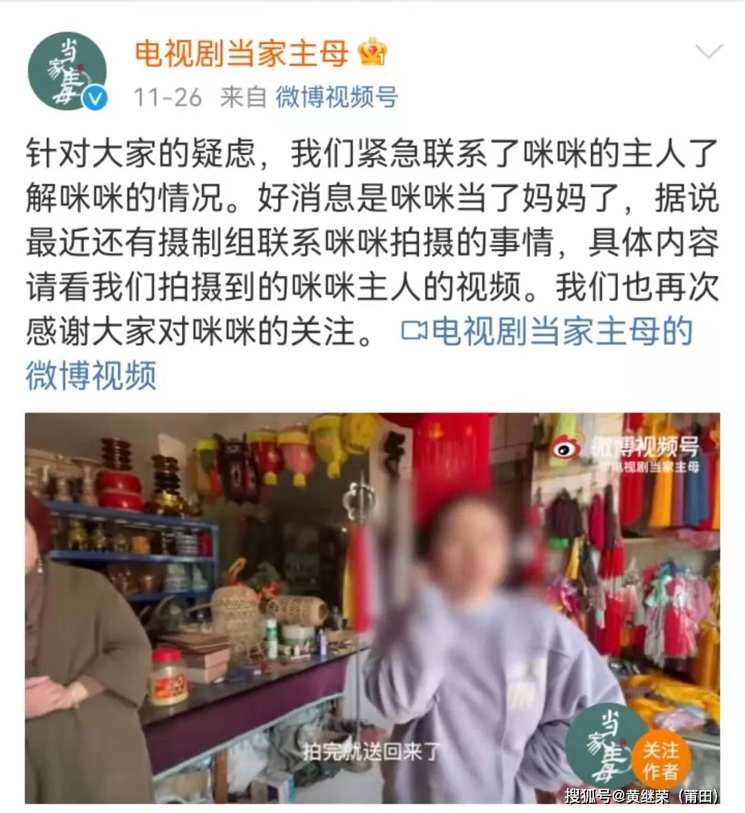 猫咪|于正“虐猫”事件升级：他犯的错，远没有这么简单