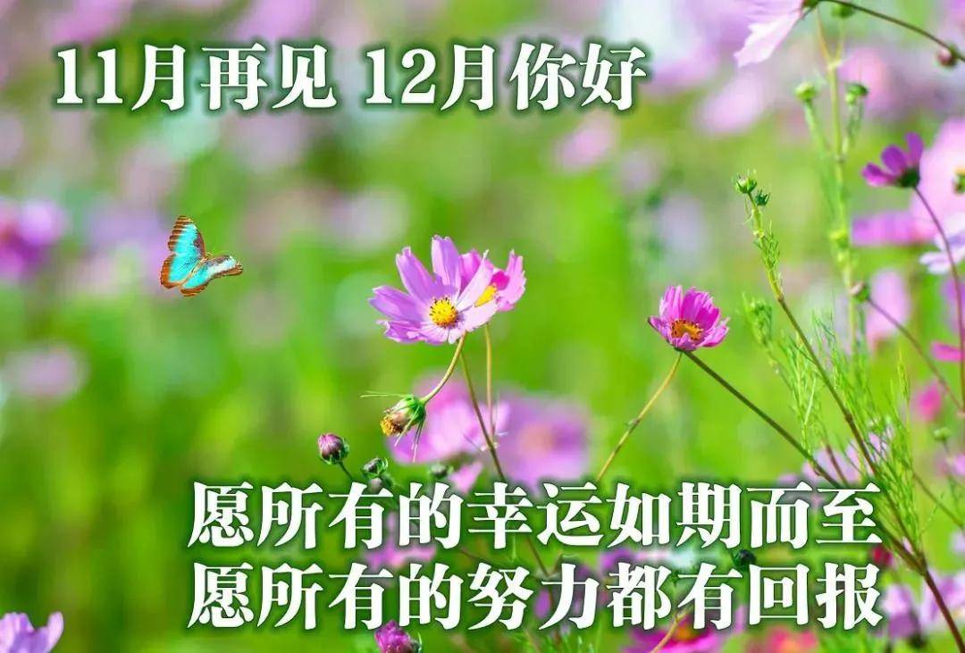 原创8张朋友圈早上好正能量问候最新版漂亮图片12月最美早上好表情