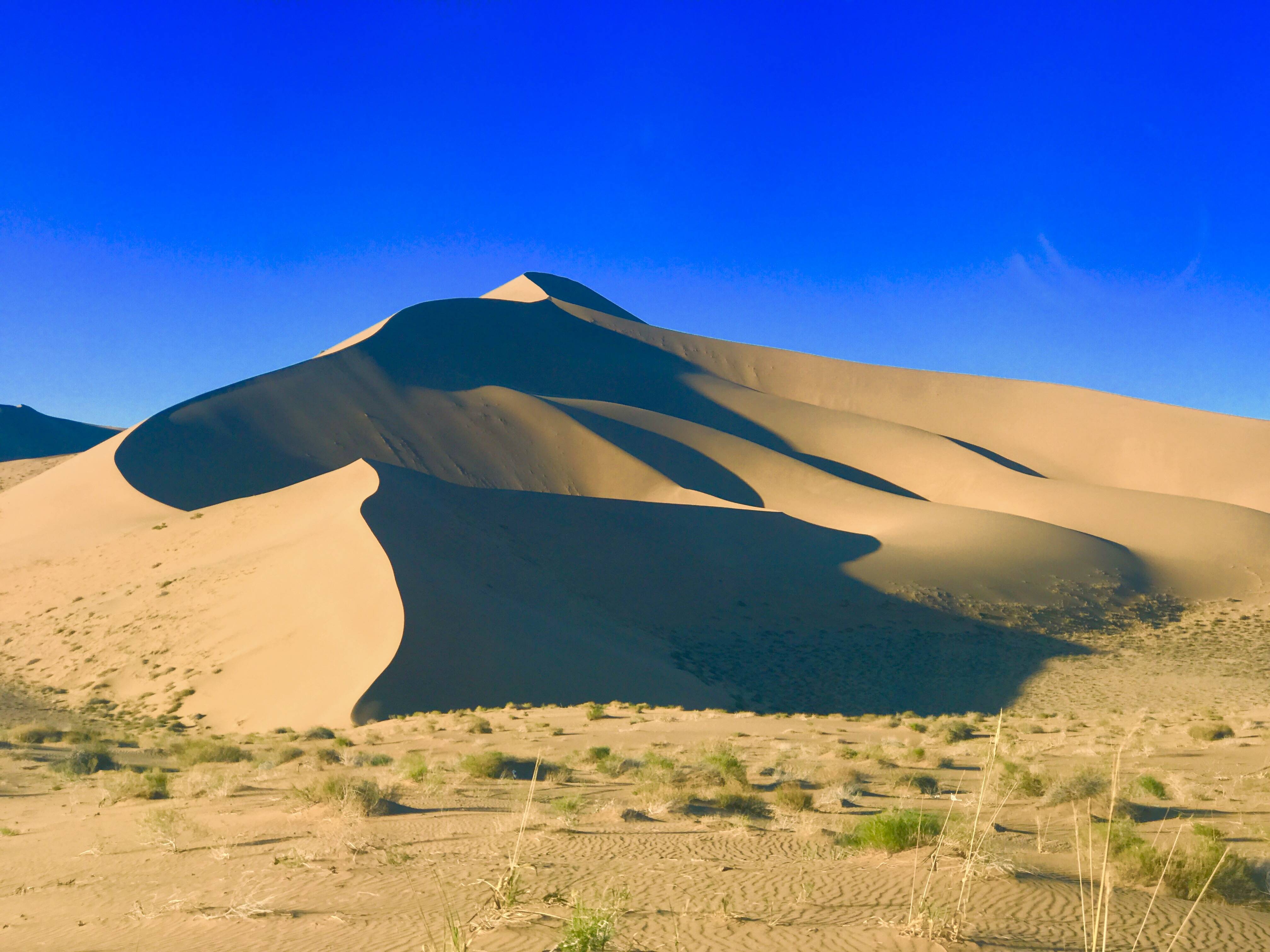 爱情_回律_泉总