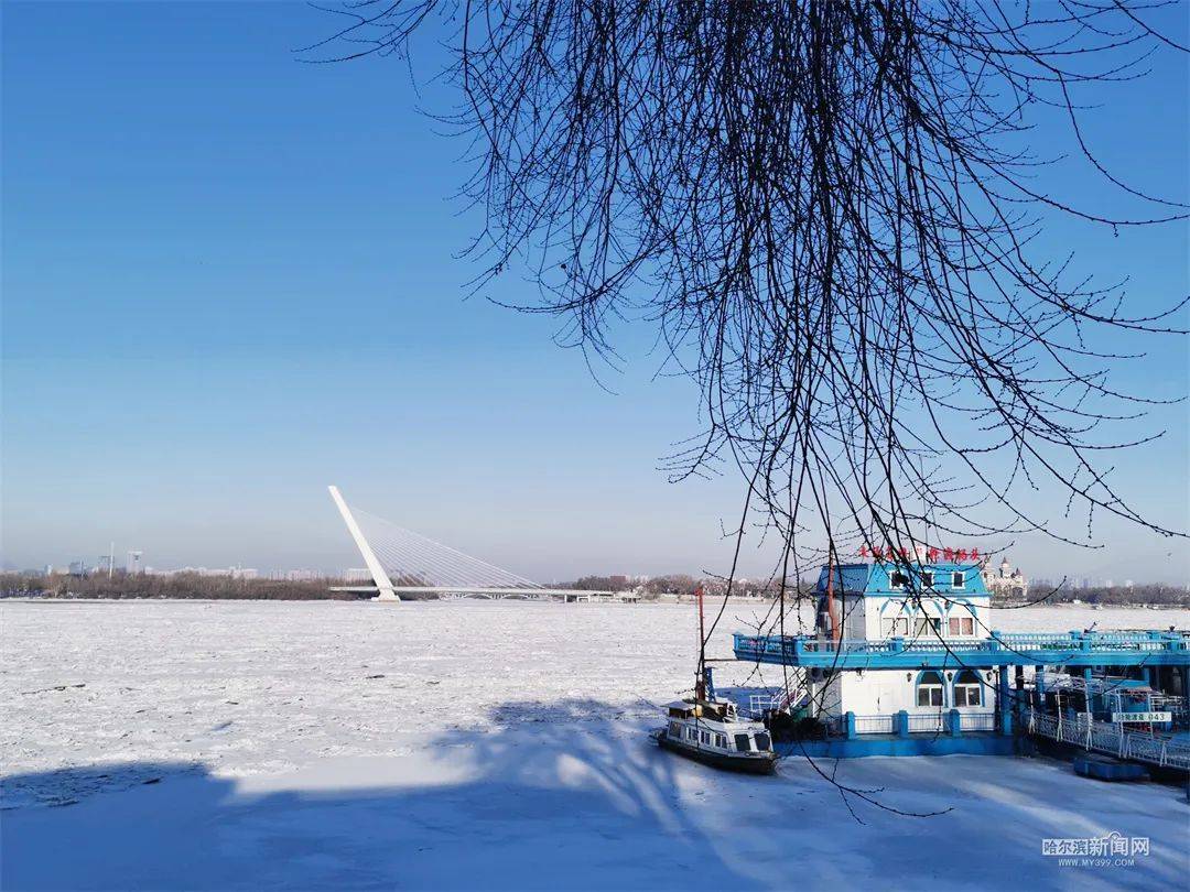 20211202世界完全對稱日就在今天白天全市陣雪浪漫氣氛拉滿了