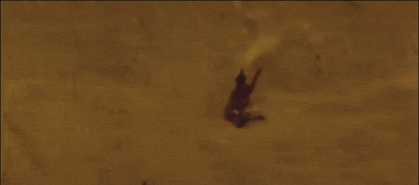 猫咪|不虐待动物就拍不好影视剧了吗？这5部戏的做法，一个比一个残忍