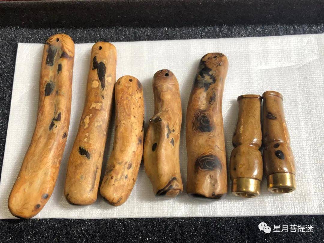 直播间卖的作假黑珊瑚海柳有多猖狂?_海藤_黄藻_密度