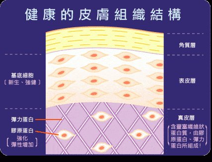 步骤水、乳、霜、精华的正确使用步骤，涂错了不但“无效”还“伤肤”