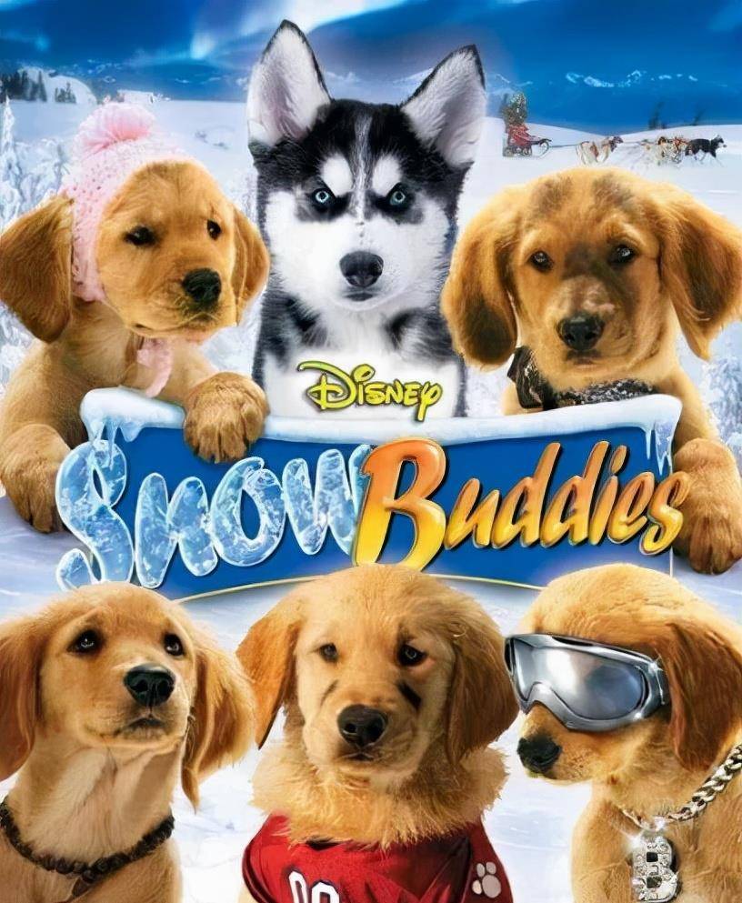 猫咪|不虐待动物就拍不好影视剧了吗？这5部戏的做法，一个比一个残忍