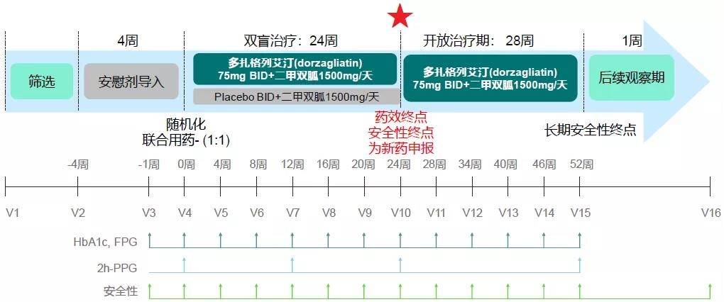 激活剂|葡萄糖激酶激活剂坚实循证从何而来？DAWN研究牵头PI杨文英教授亲身讲述