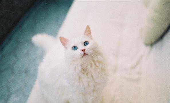 aff201ef928c46eaad9b85ed508f1b33.jpeg