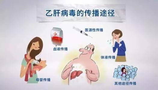 治疗|临床常说乙肝难治，其实难治在“三个点”！