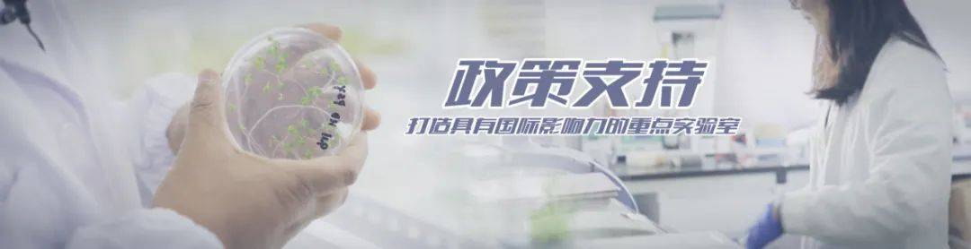 神秘、新奇的?重点实验室究竟是做啥的？今天为你揭秘