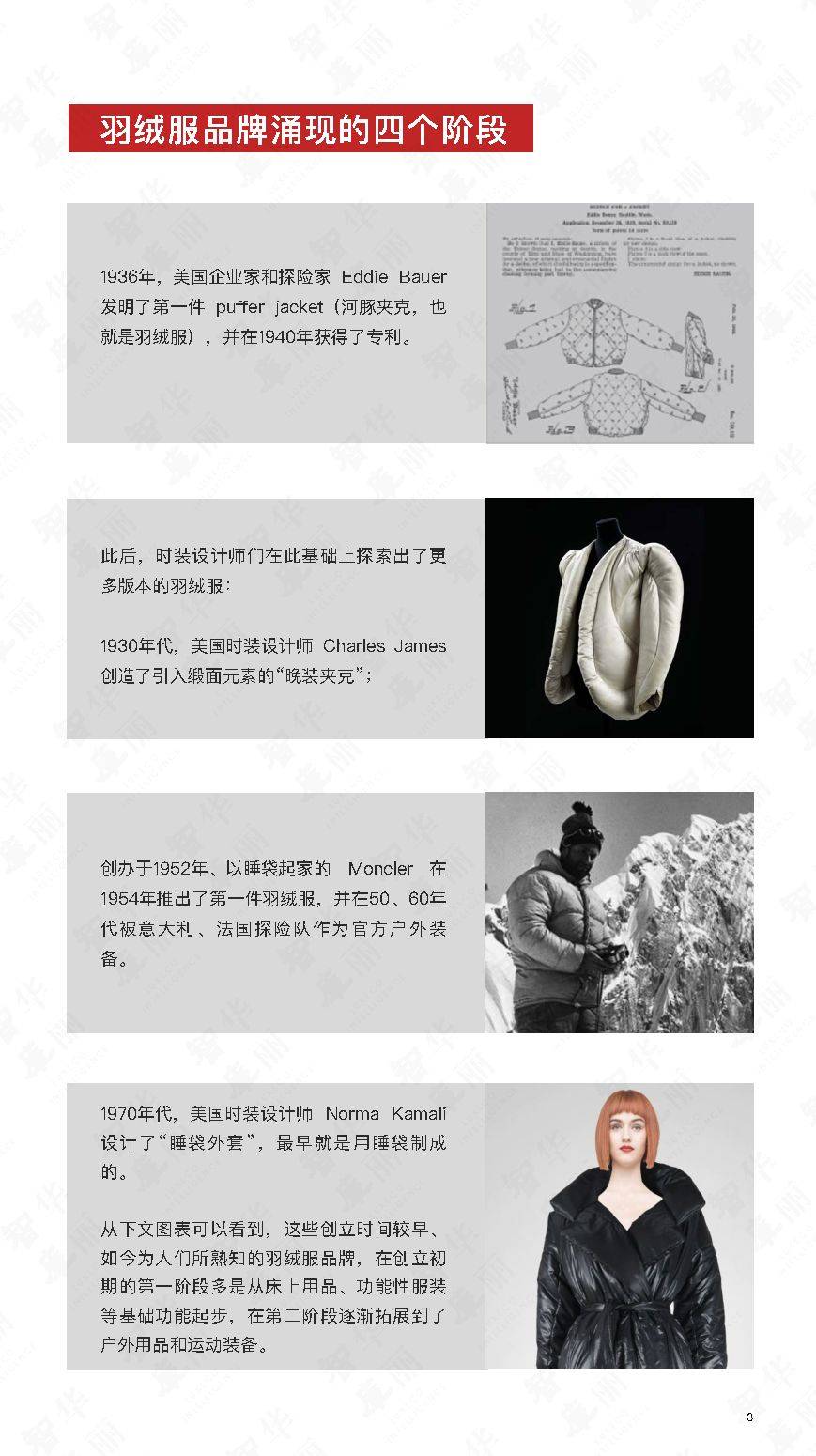 品牌 2020年全球羽绒服品牌研究报告-华丽智库