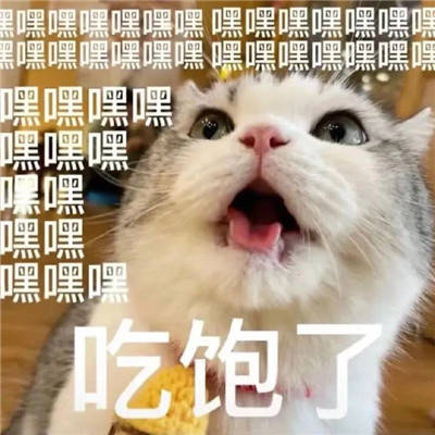 a6e7789f86bc434a9c0aa989d3d2007d.jpeg