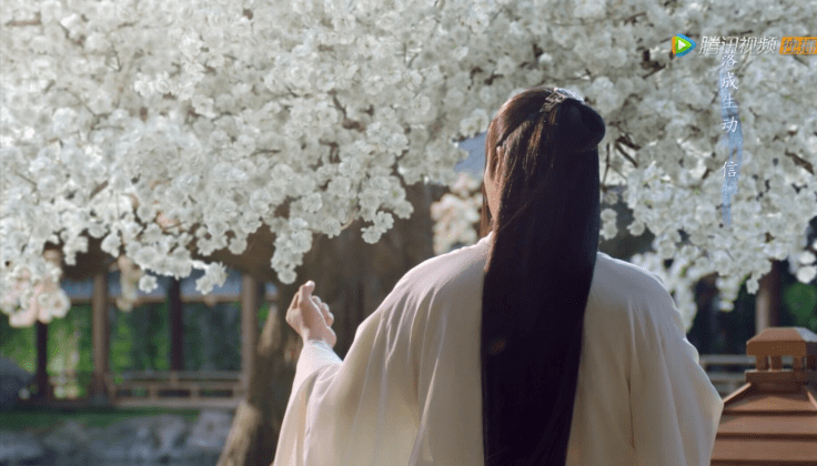 索兰|播放量破30亿的斛珠夫人，竟然在大结局丢下一大遗憾，2个彩蛋