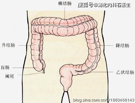 肠道左侧不舒服怎么办