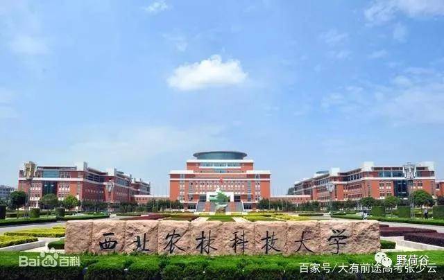 就业|这些一流大学的“冷门”专业,就业前景非常好!你了解吗?