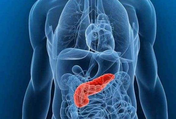 降低|为什么“降糖药”的效果越来越不明显？这2个原因你该趁早了解！