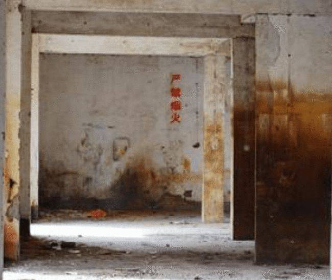 深圳致丽玩具厂火灾始末85名女工丧生老板却连夜逃窜