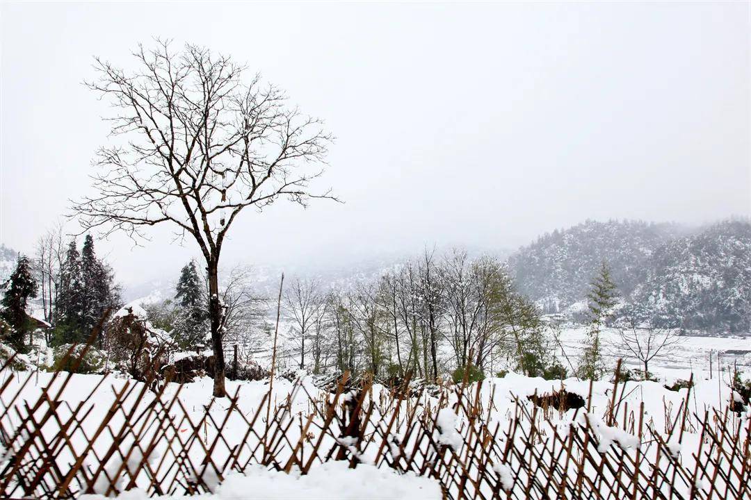 雪景|你还记得腾冲那些年的雪吗