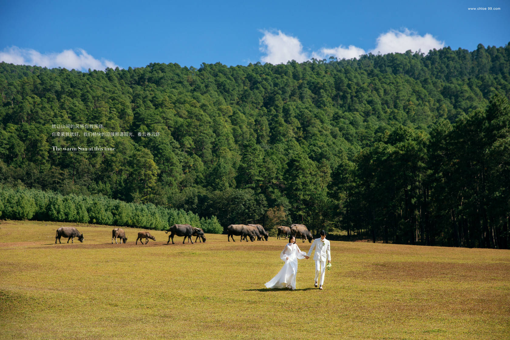 婚纱照|2021/2022冬季旅拍新风向——克洛伊全球旅拍大理站新品发布！