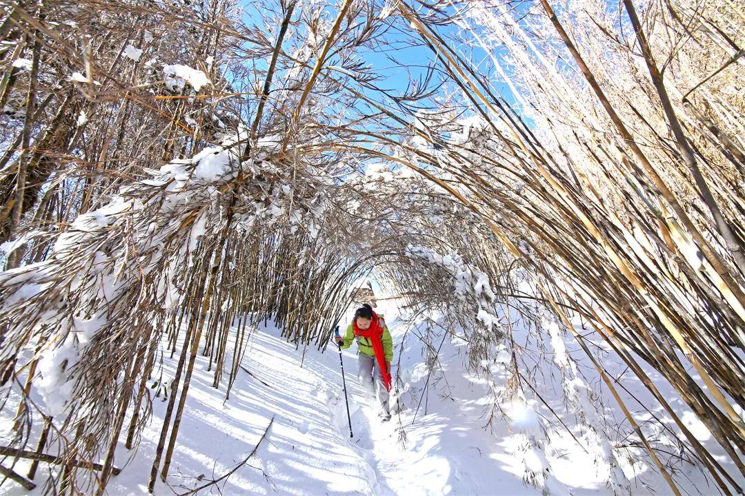 雪景|你还记得腾冲那些年的雪吗