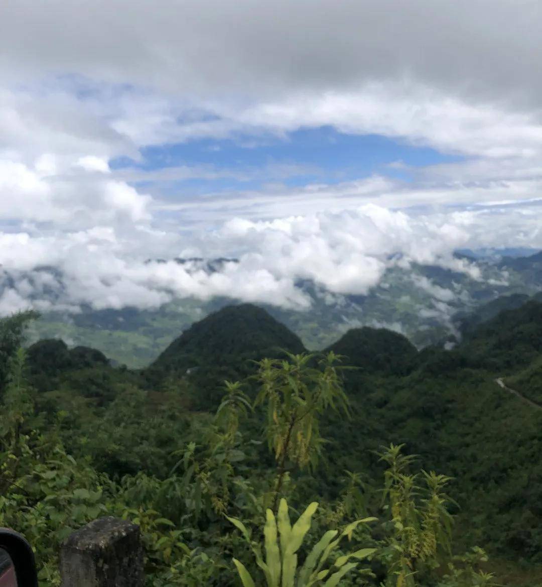 植物高山石斛，给你肌肤来一场补水盛宴