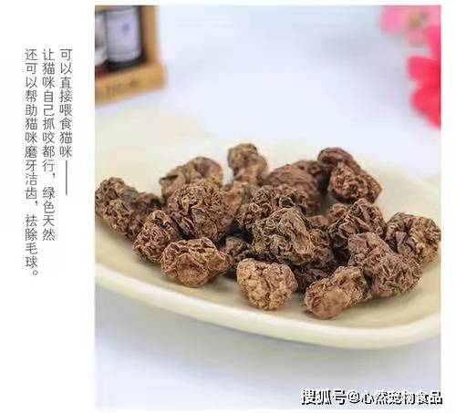 关于猫草 猫薄荷和木天蓼的小知识 猫咪 毛球 食用 全网搜