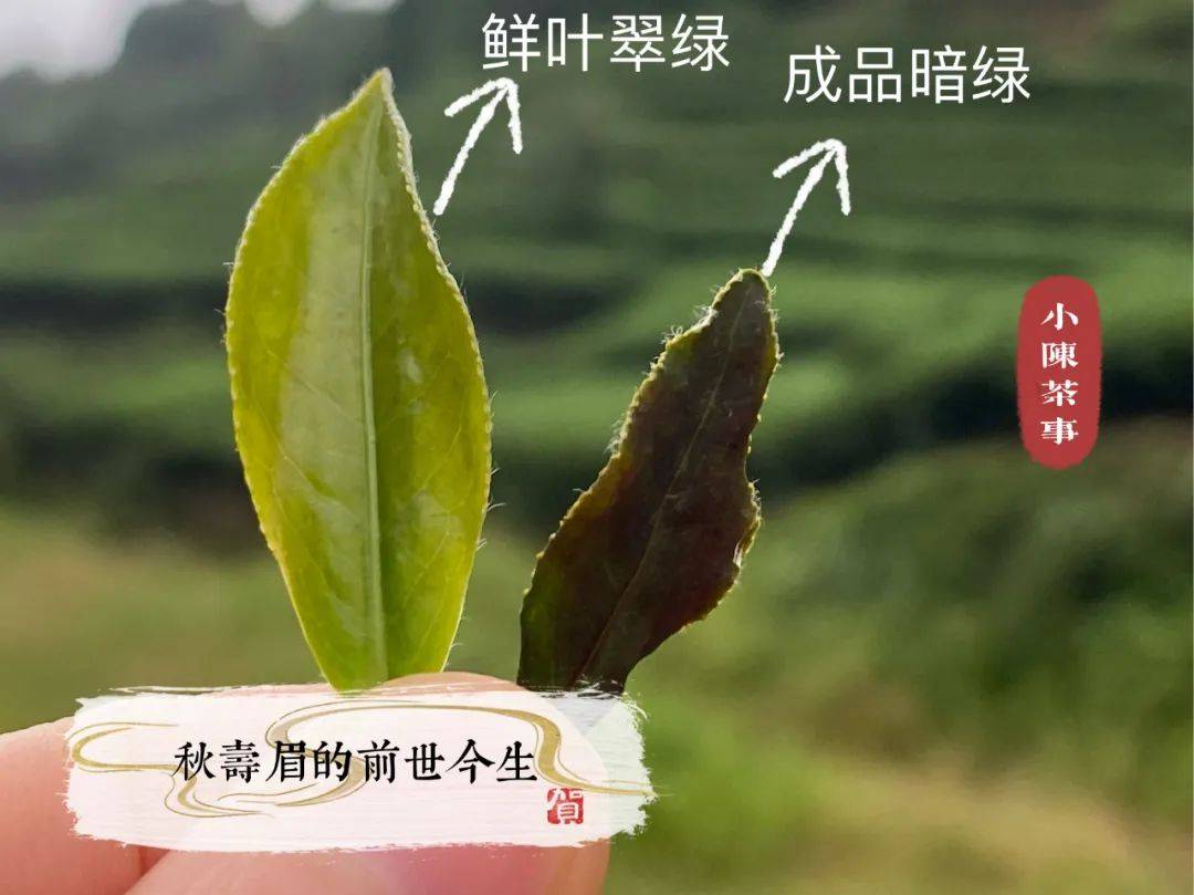 d7b89b5e83684de7900d72469eab0c75.jpeg