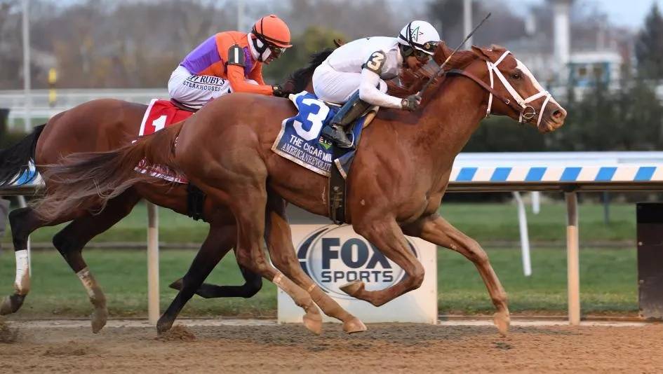 美国赛马 "美国革命" (americanrevolution) 成为了本年度第六匹获得g