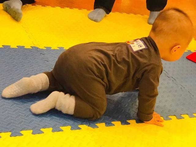 关于宝宝爬行的3个小秘密, 快来查收_向前_婴儿_肌肉