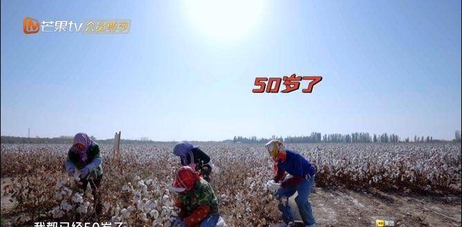 陈小春|张智霖上综艺大尴尬，叫一个比自己大5岁的人阿姨！