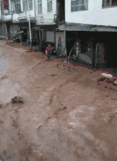 同学搞笑GIF段子：连自己的食物都护不住，被鸡给欺负了。